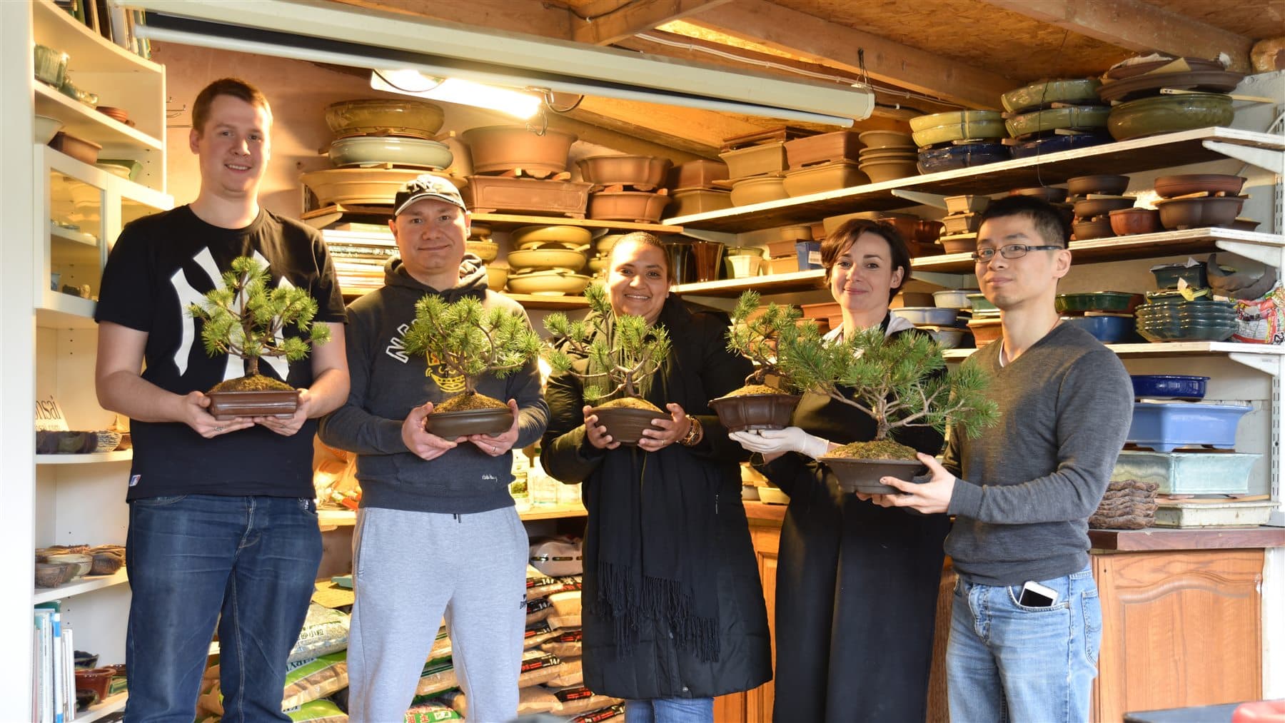 Beginners learning with European pine bonsai at the Academy