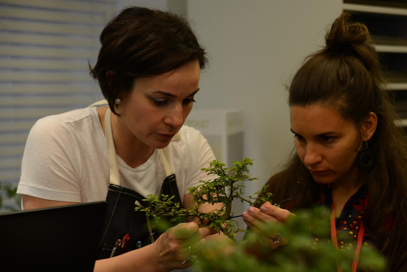 Instructor guiding a student during a bonsai masterclass
